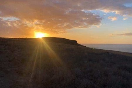 la savane