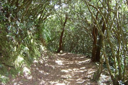 Randonnee-des-Ravenales-a-Chemin-de-Ceinture-sentier